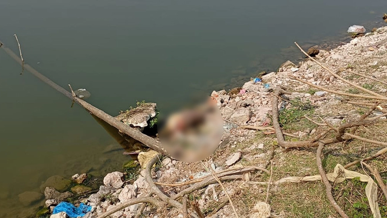 বরিশালের এক পুকুর ও দিঘি থেকে দেহের খণ্ডিত অংশ উদ্ধার। ছবি : সংগৃহীত