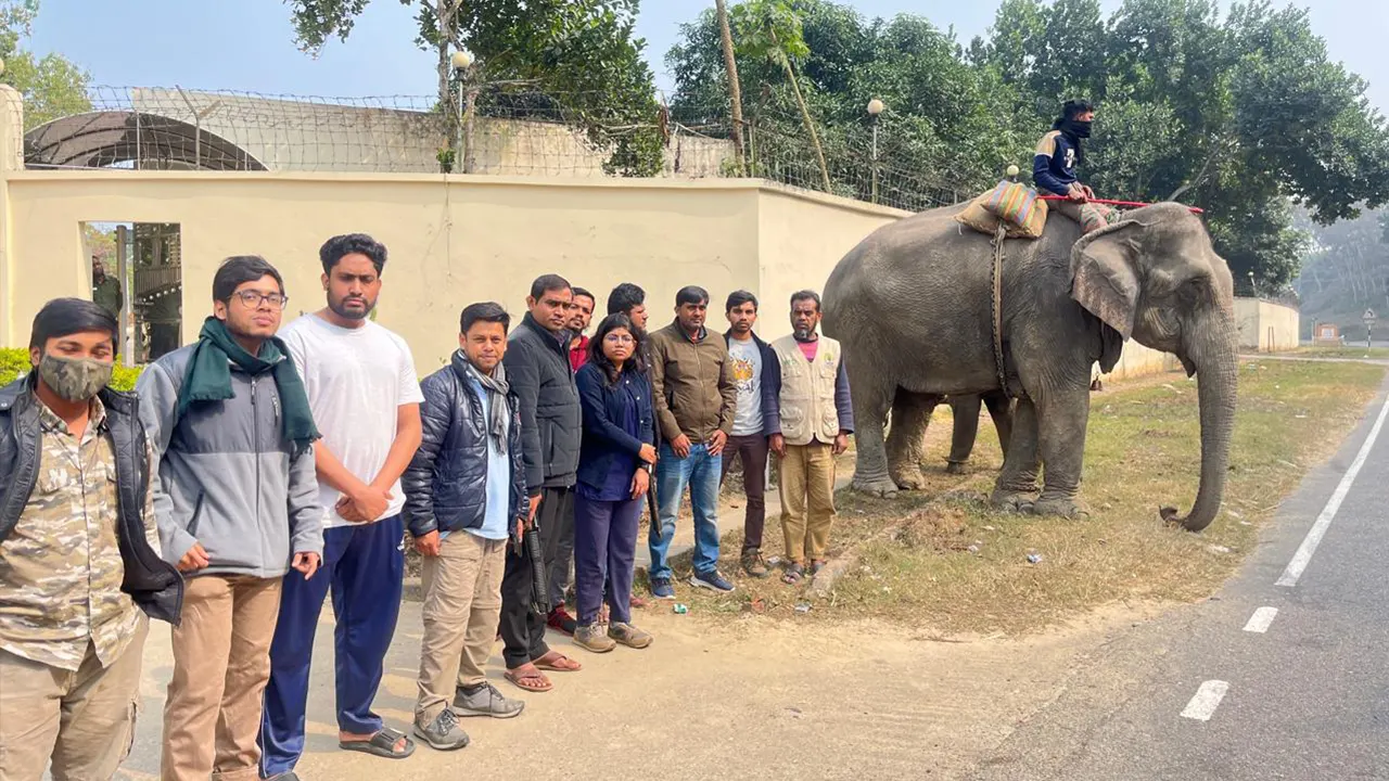 হবিগঞ্জে রাস্তায় গাড়ি থামিয়ে হাতি দিয়ে চাঁদাবাজির সময় বন কর্মকর্তার হাতে ধরা। ছবি : সংগৃহীত