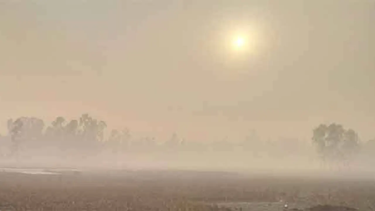কুড়িগ্রামের শীতের সকাল। ছবি : কালবেলা