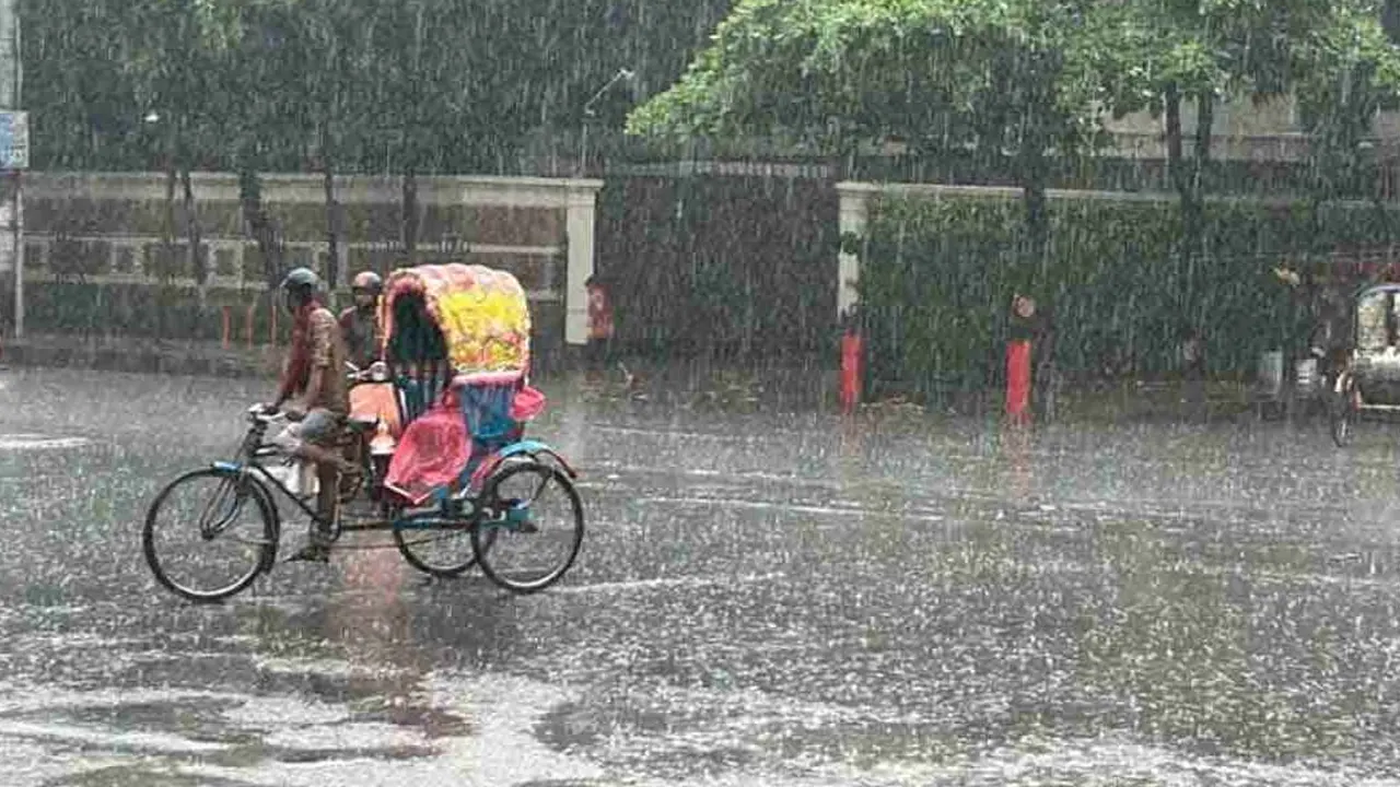 ছবি : সংগৃহীত।