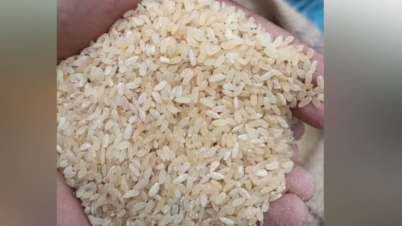 টিসিবির পচা ও দুর্গন্ধযুক্ত চাল। ছবি : কালবেলা