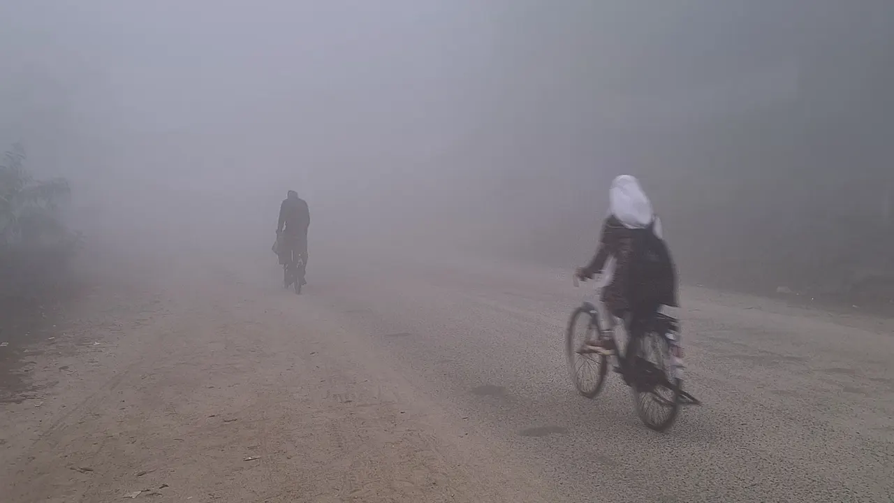 কুয়াশা ঘেরা তেঁতুলিয়ার সড়ক। ছবি : কালবেলা