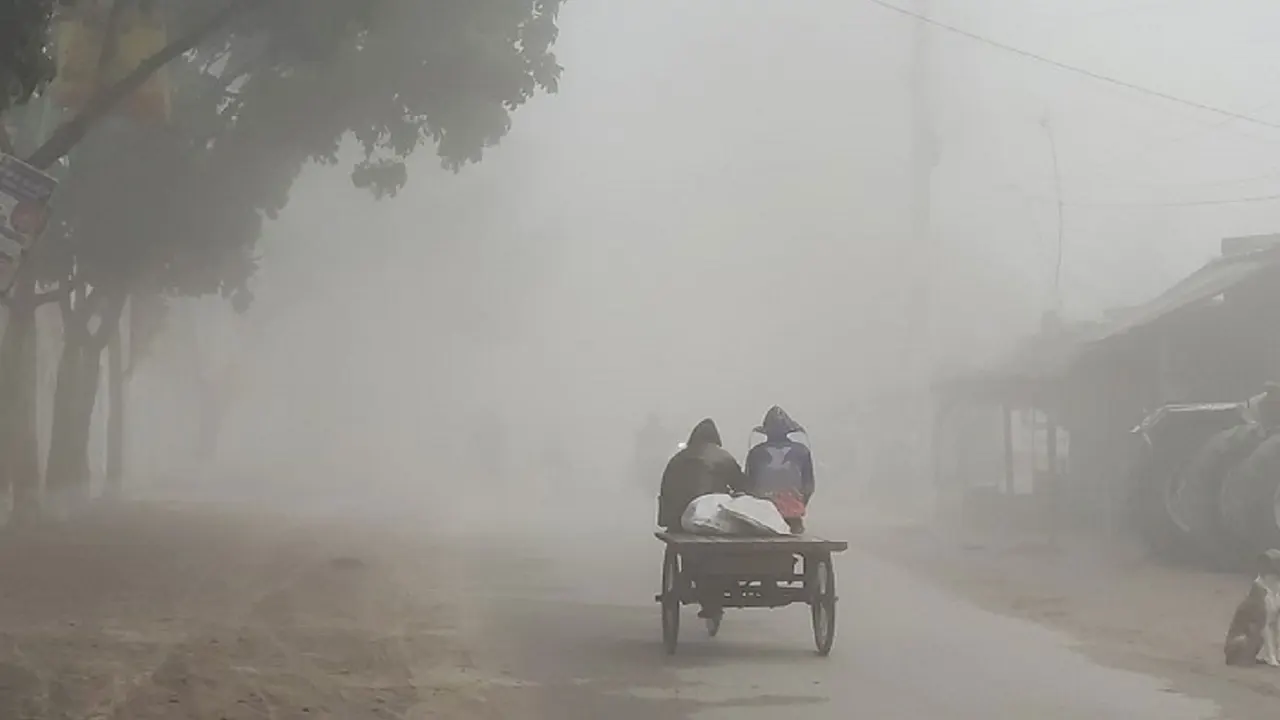 ছবি : সংগৃহীত