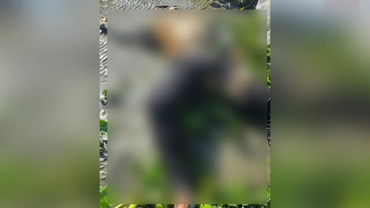 মেঘনায় উদ্ধার যুবকের মরদেহ। ছবি : কালবেলা