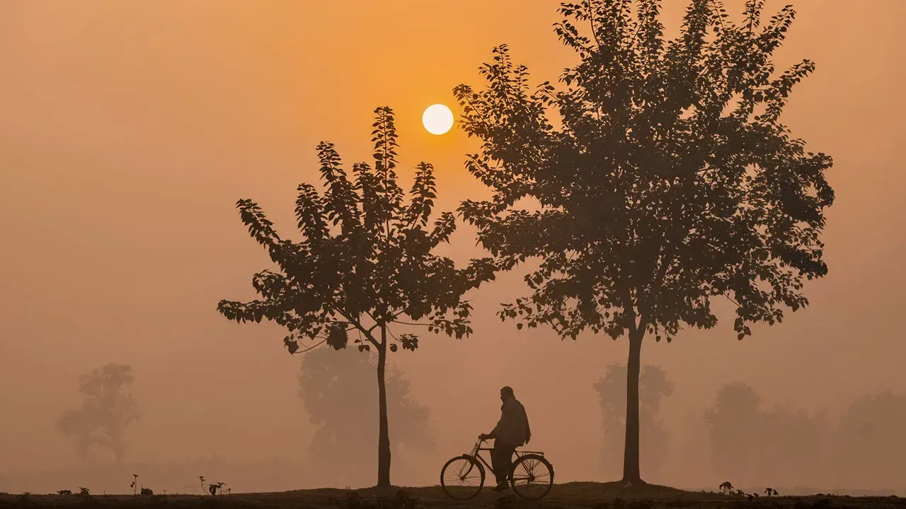 ছবি : সংগৃহীত।