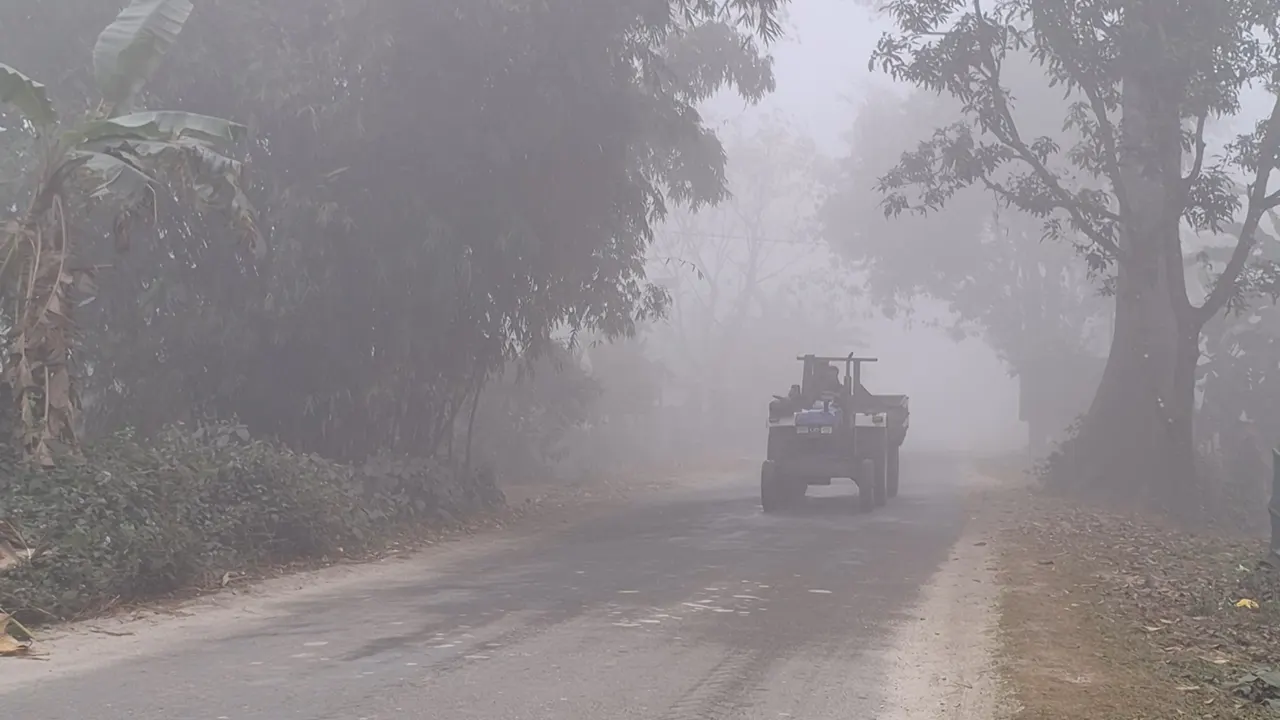 কুয়াশাচ্ছন্ন সকাল। ছবি : কালবেলা