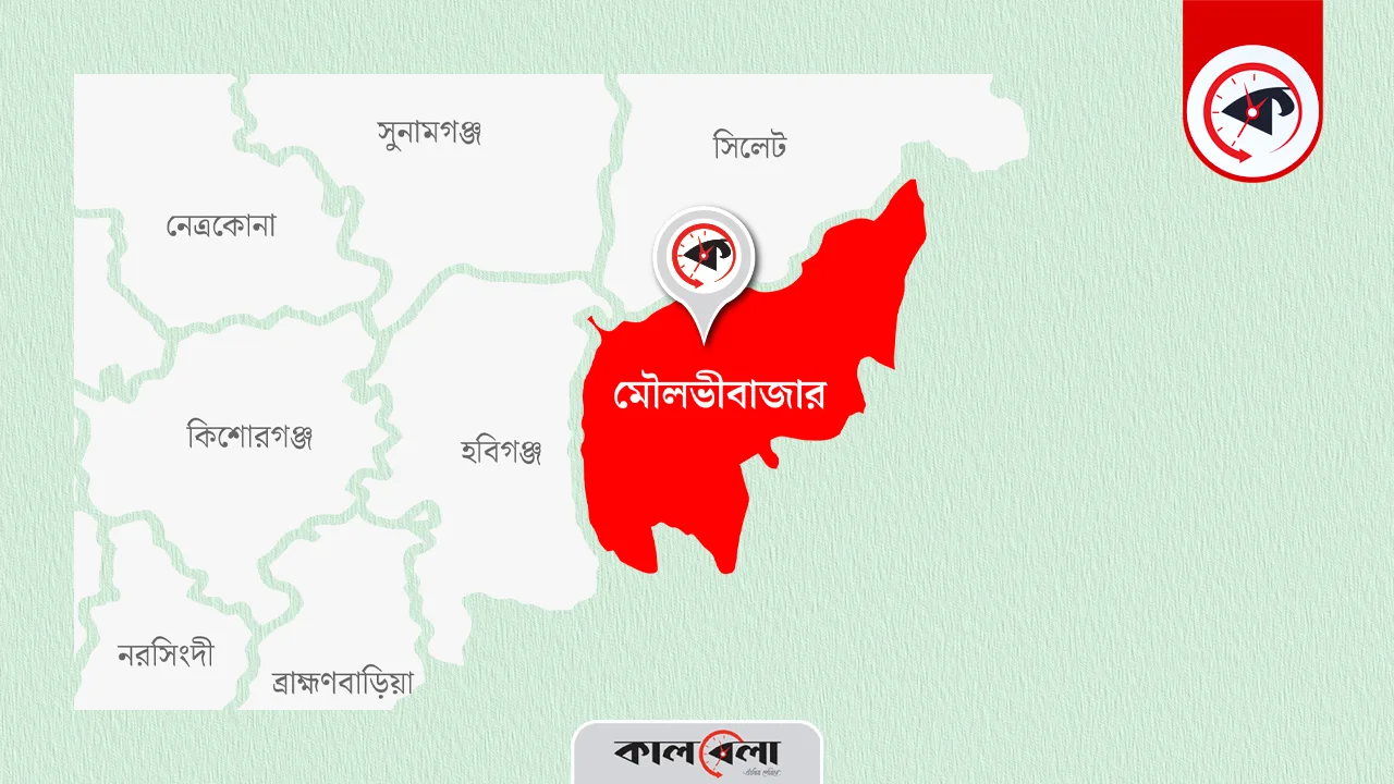 গ্রাফিক্স : কালবেলা।