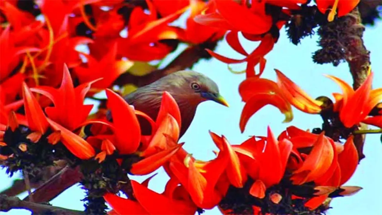 ছবি : সংগৃহীত