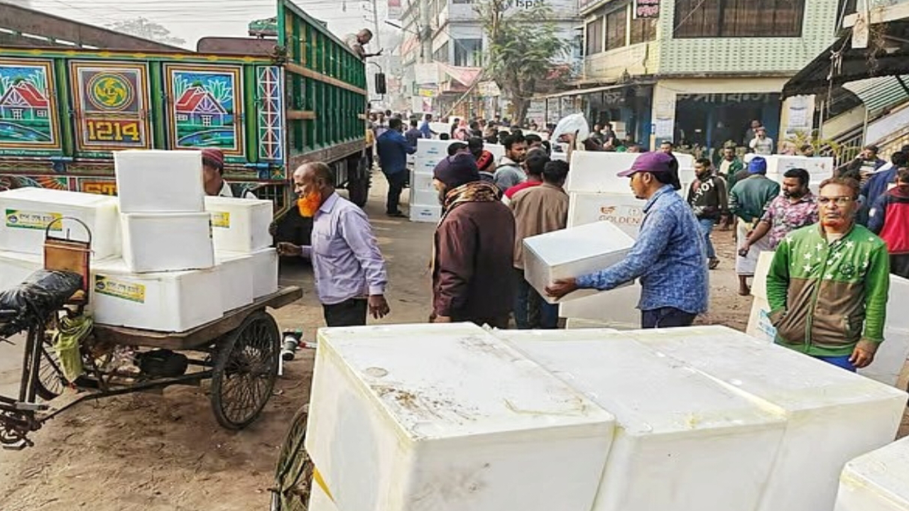 সাতক্ষীরার চিংড়ি পোনার বাজার। ছবি : কালবেলা