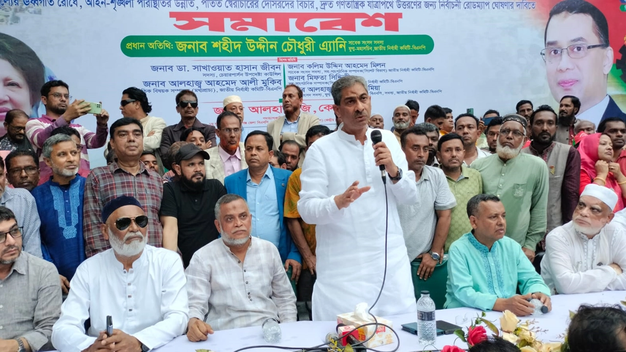 হবিগঞ্জ জেলা বিএনপি আয়োজিত সমাবেশে বক্তব্য দেন শহীদ উদ্দিন চৌধুরী এ্যানি। ছবি : কালবেলা
