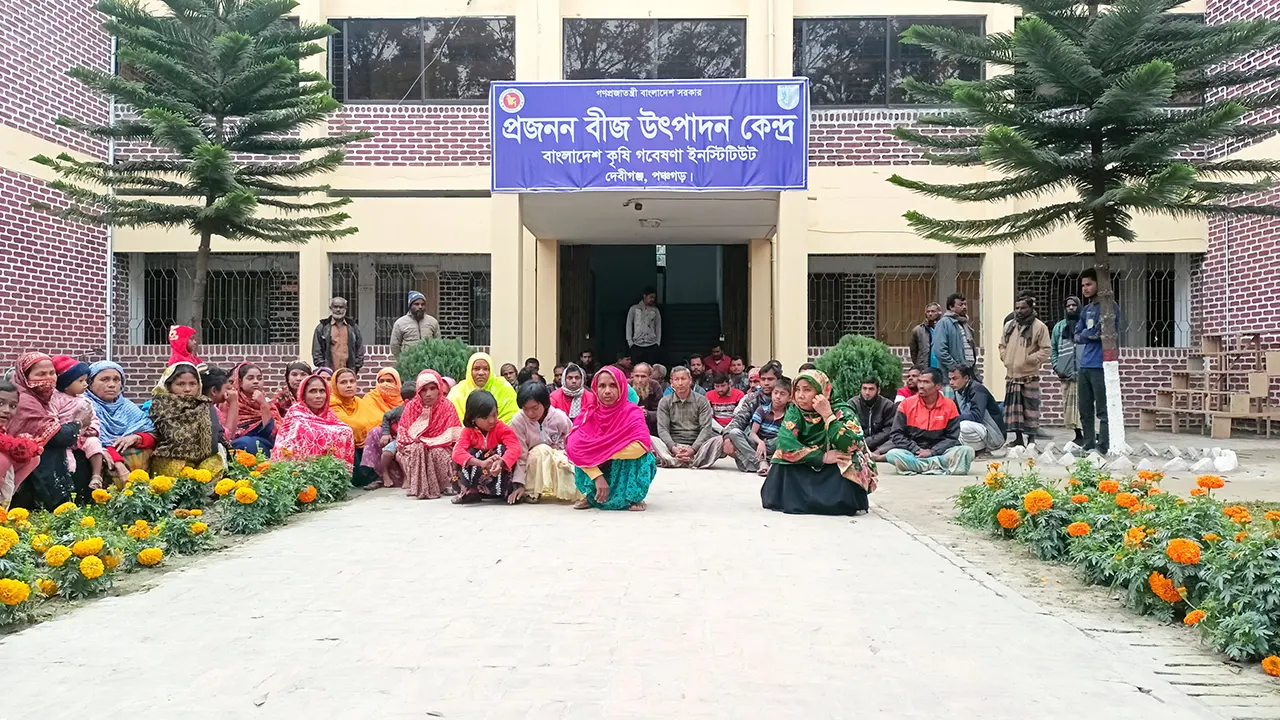 পঞ্চগড়ের দেবীগঞ্জে প্রজনন বীজ উৎপাদন কেন্দ্রে অনশনে বসেন আন্দোলনরত শ্রমিকরা। ছবি : কালবেলা