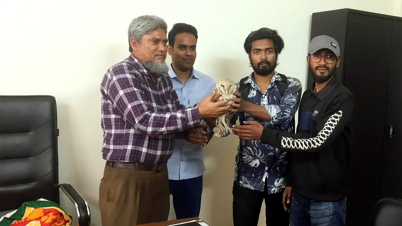 দেবীগঞ্জ বন বিভাগের রেঞ্জ কর্মকর্তার কার্যালয়ে লক্ষ্মীপেঁচাটিকে হস্তান্তর করা হয়। ছবি : কালবেলা