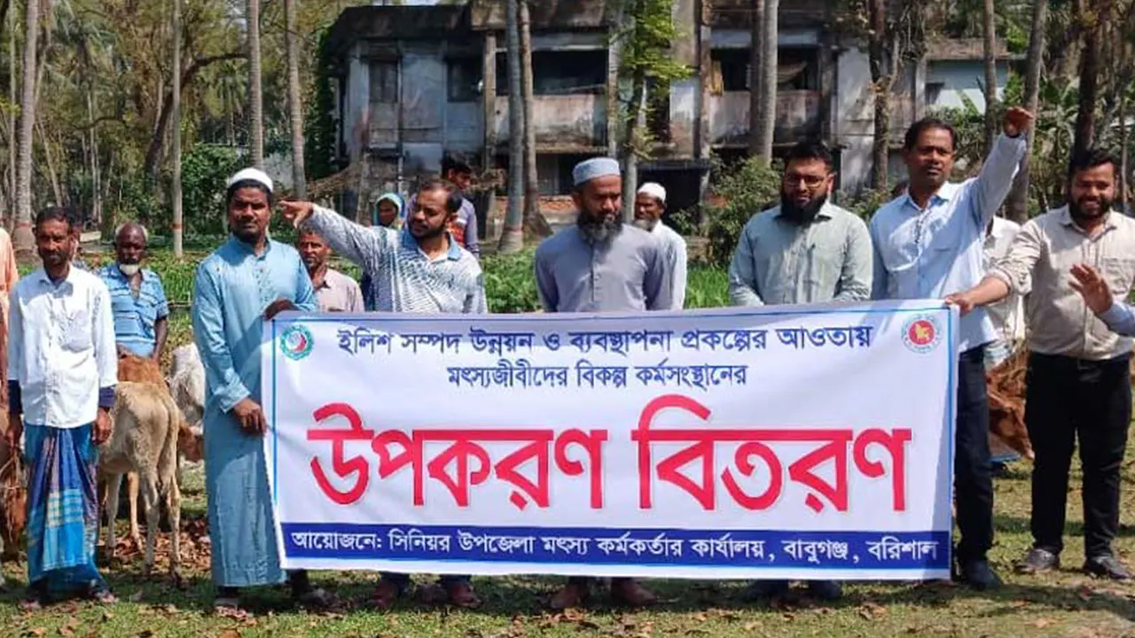 বরিশালের বাবুগঞ্জে মৎস্য অধিদপ্তরের আওতায় গরু বিতরণ অনুষ্ঠান। ছবি : কালবেলা