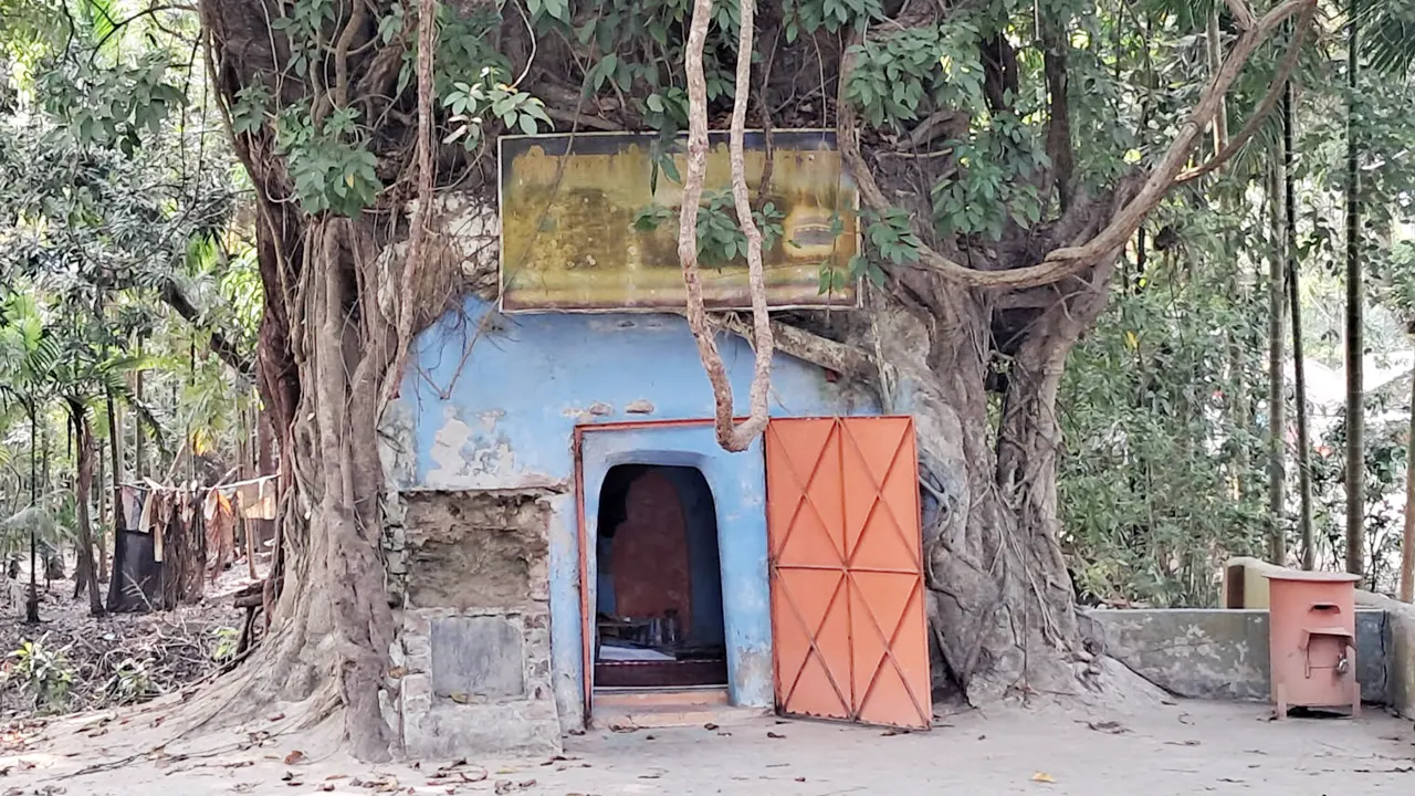 গাজী কালু দরগাবাড়ির পাঞ্জেগানা মসজিদ। ছবি : কালবেলা