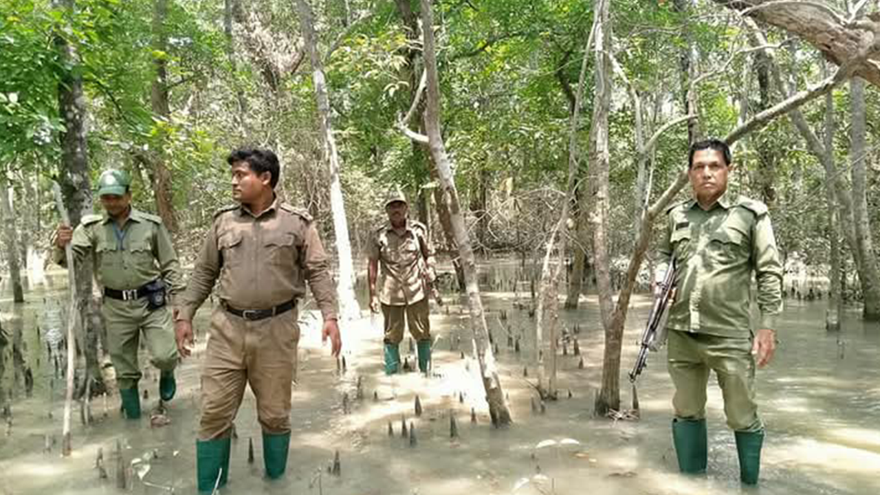 সুন্দরবনে নিরাপত্তা ব্যবস্থা জোরদার। ছবি : সংগৃহীত