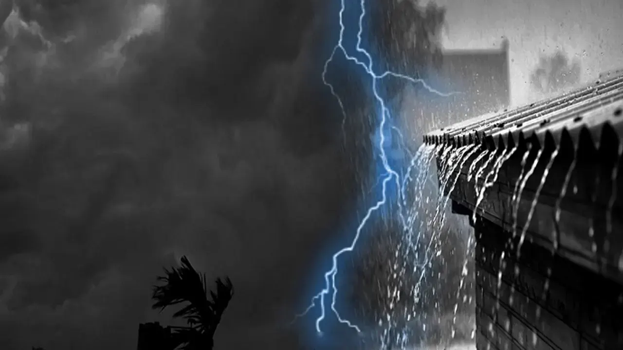 ছবি : সংগৃহীত