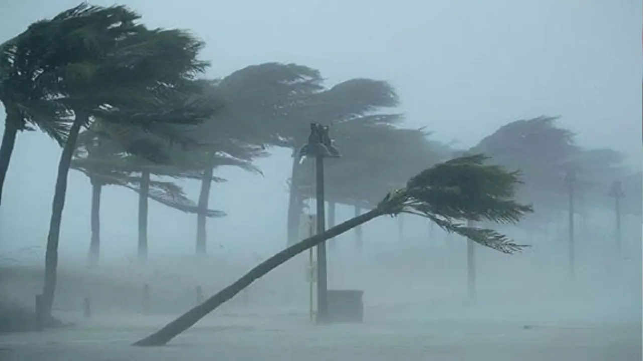 প্রতীকী ছবি : সংগৃহীত