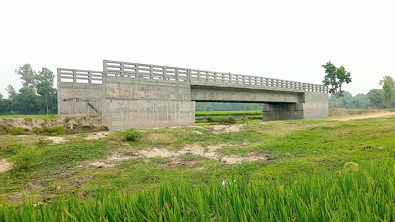 নওগাঁর মান্দা উপজেলা এলজিইডি দপ্তর রাস্তা ছাড়াই বিলের মাঝখানে সেতুটি নির্মাণ করে। ছবি : কালবেলা