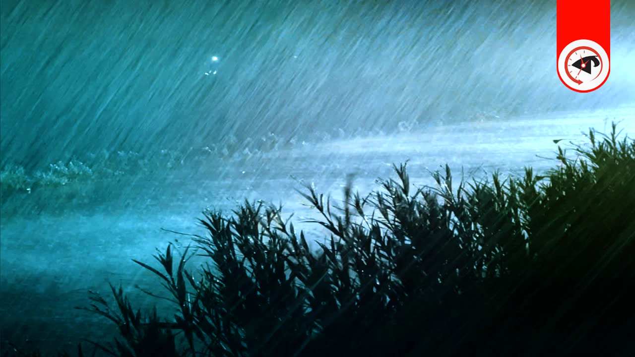 ছবি : কালবেলা গ্রাফিক্স