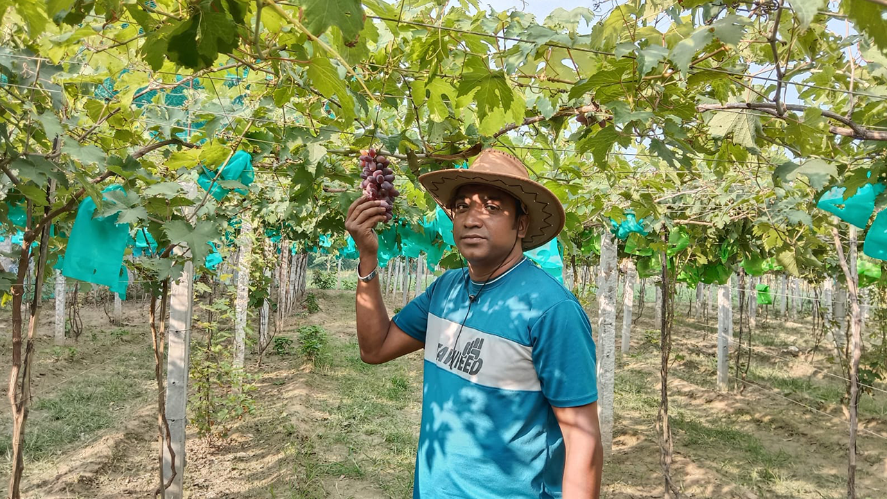 থোকায় ঝুলা আঙুর হাতে উদ্যোক্তা কামরুজ্জামান এপিল। ছবি : কালবেলা