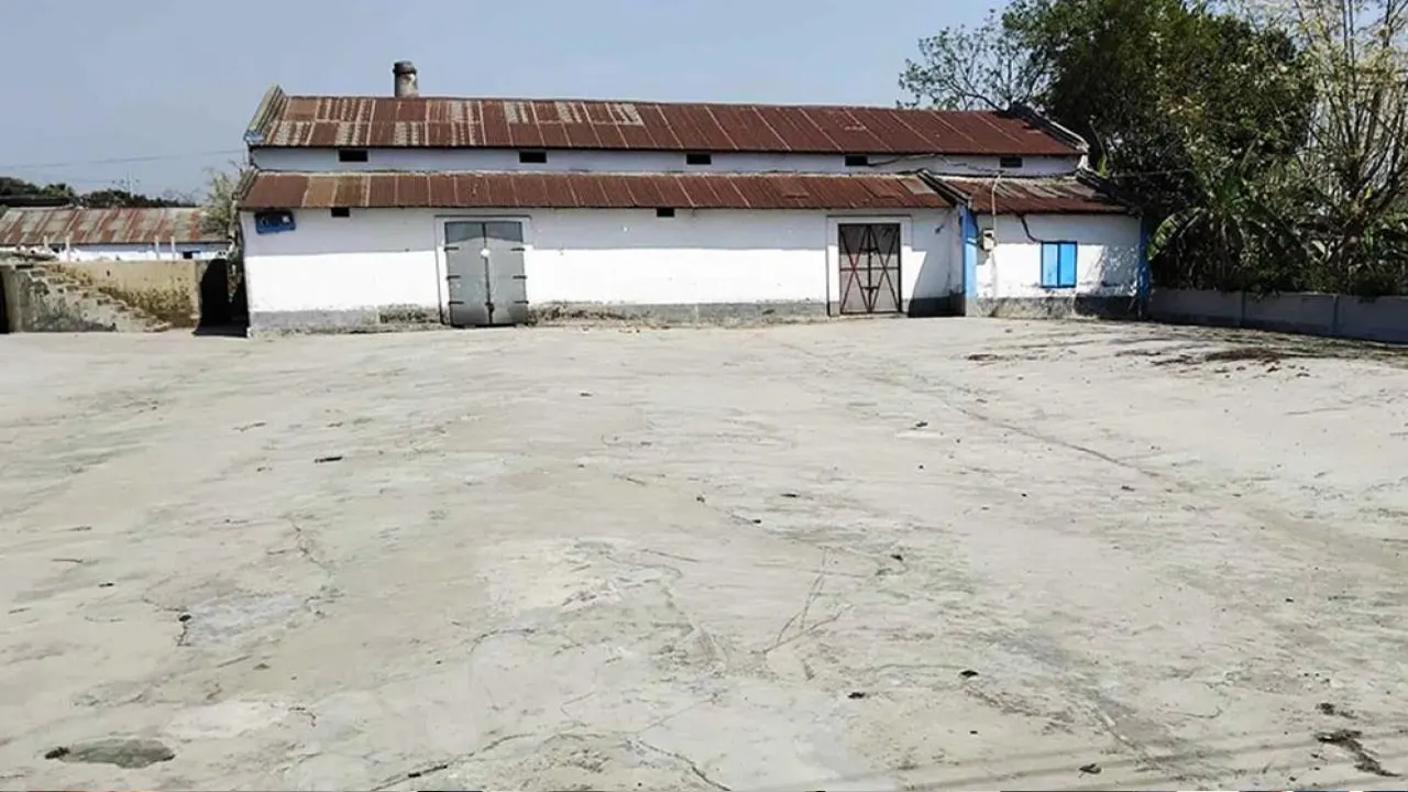 রাজশাহীর একটি চালকল। ছবি : কালবেলা