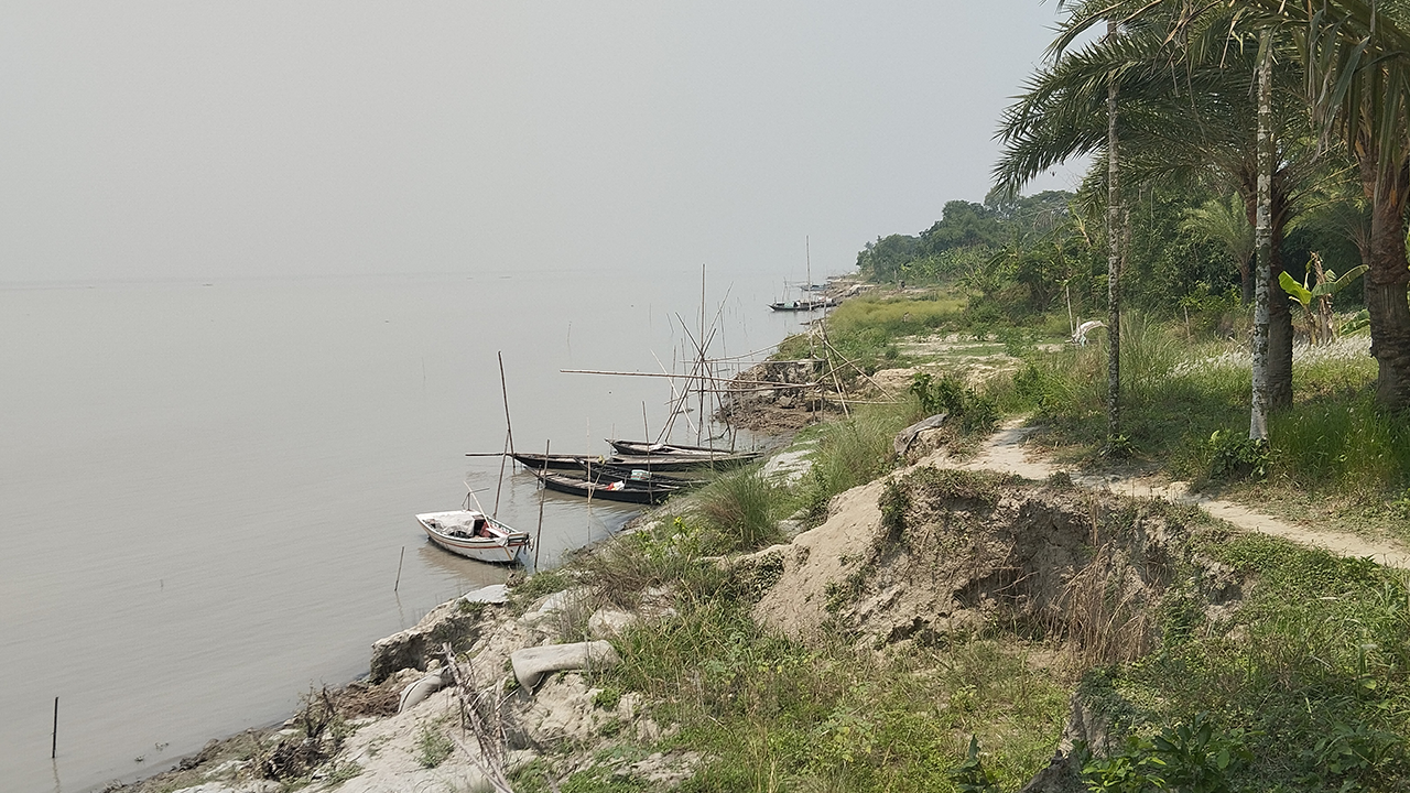 পদ্মা নদীতে ভাঙন। ছবি : কালবেলা