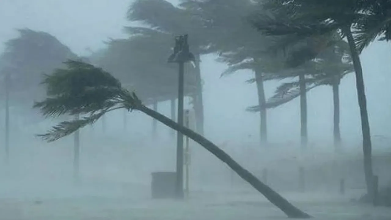 ছবি : সংগৃহীত