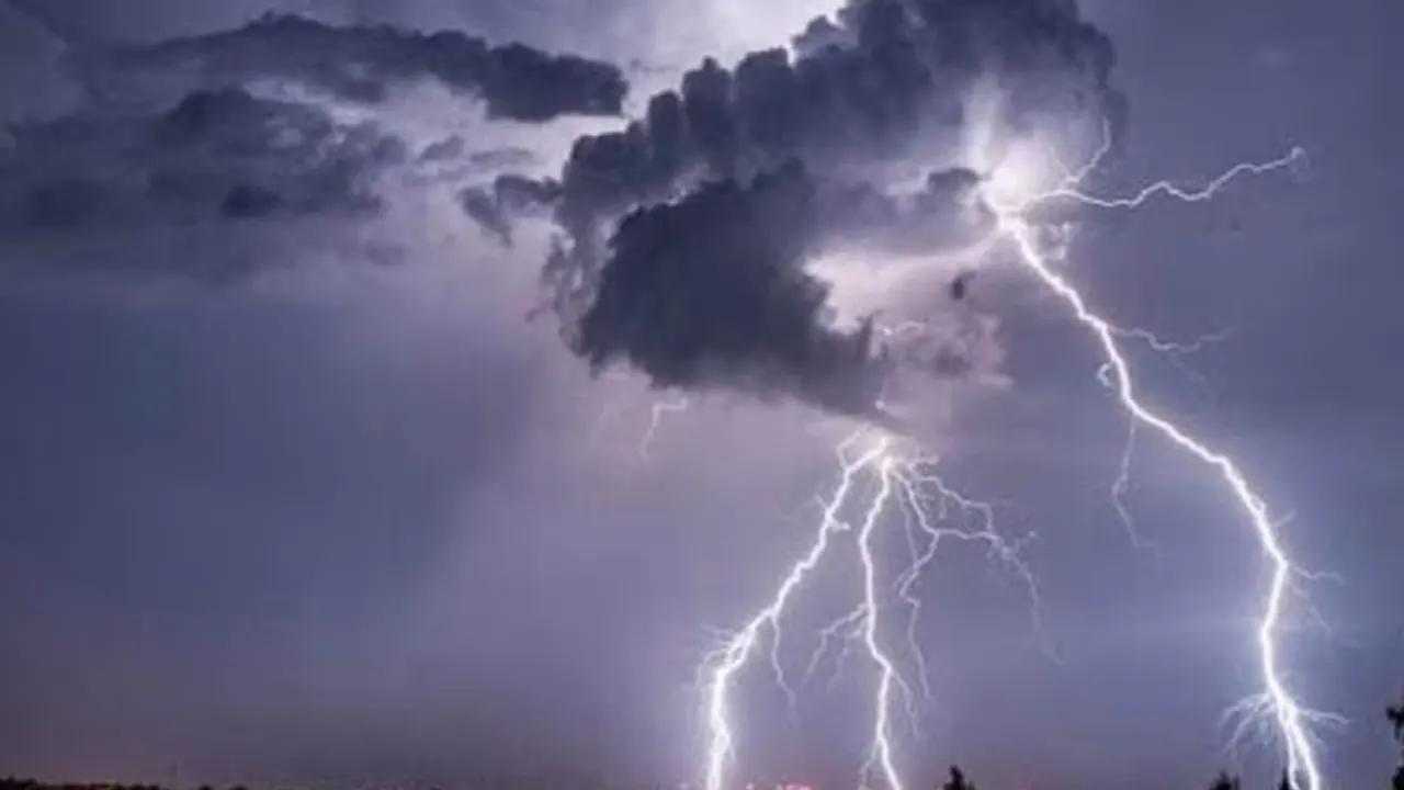 ছবি : সংগৃহীত