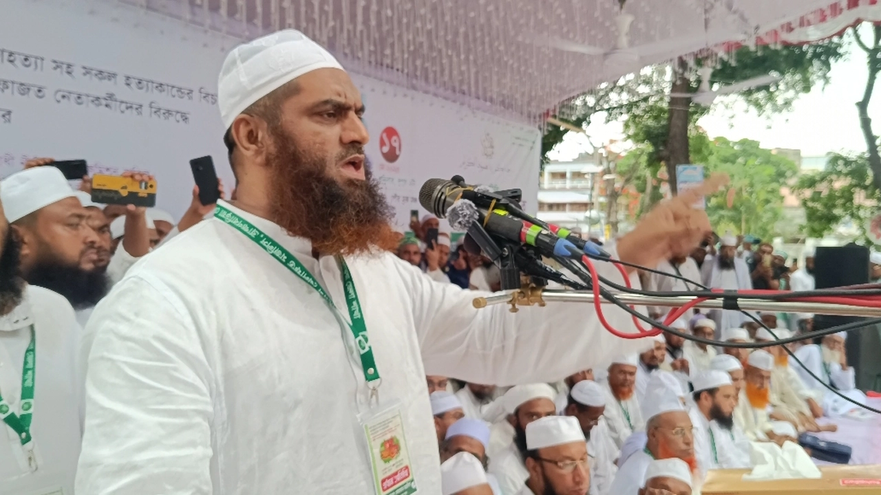 ব্রাহ্মণবাড়িয়া শহরের পৌর মুক্তমঞ্চে গণসমাবেশে বক্তব্য রাখেন মাওলানা মামুনুল হক। ছবি : সংগৃহীত