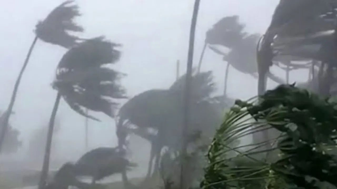 ছবি : সংগৃহীত