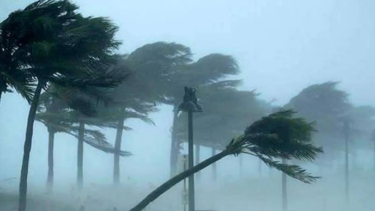 ঝড়। পুরোনো ছবি