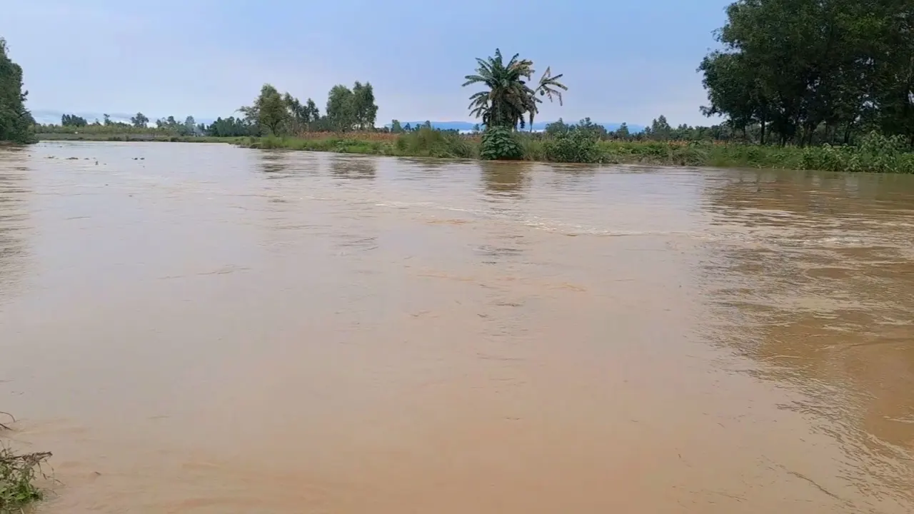 টানা বৃষ্টিপাতে শেরপুরের চেল্লাখালী নদীর পানি বিপৎসীমা। ছবি : কালবেলা