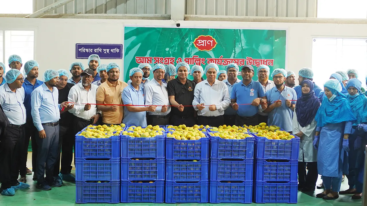 সারা বছর ম্যাংগো ড্রিংক, জুস, ম্যাংগো বারসহ বিভিন্ন খাদ্যসামগ্রী তৈরির লক্ষ্যে চলতি মৌসুমের শুরু থেকেই আম সংগ্রহ ও পাল্পিং কার্যক্রম শুরু। ছবি : সংগৃহীত