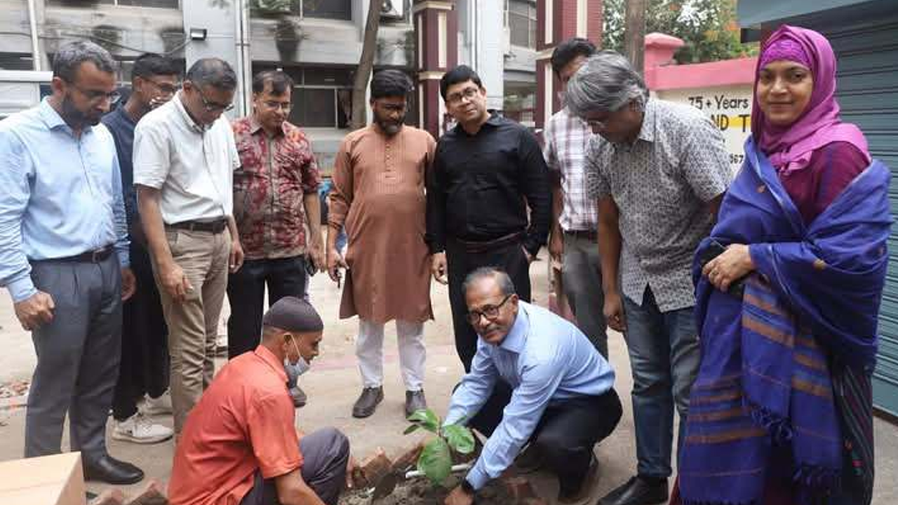 বৃক্ষরোপণকালে উপাচার্য অধ্যাপক মো. রেজাউল করিম। ছবি : কালবেলা