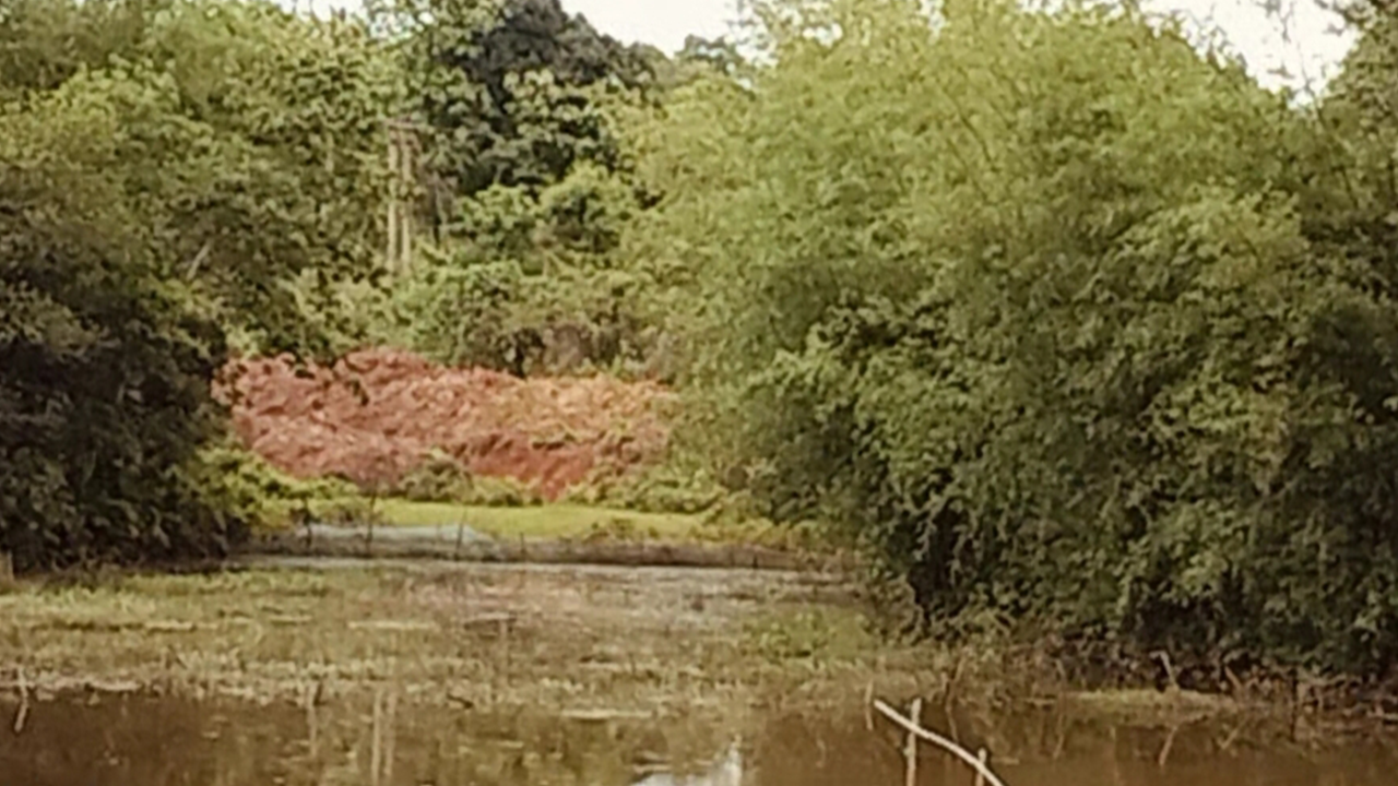 সীমান্তে ভারতীয়দের খাল খনন।