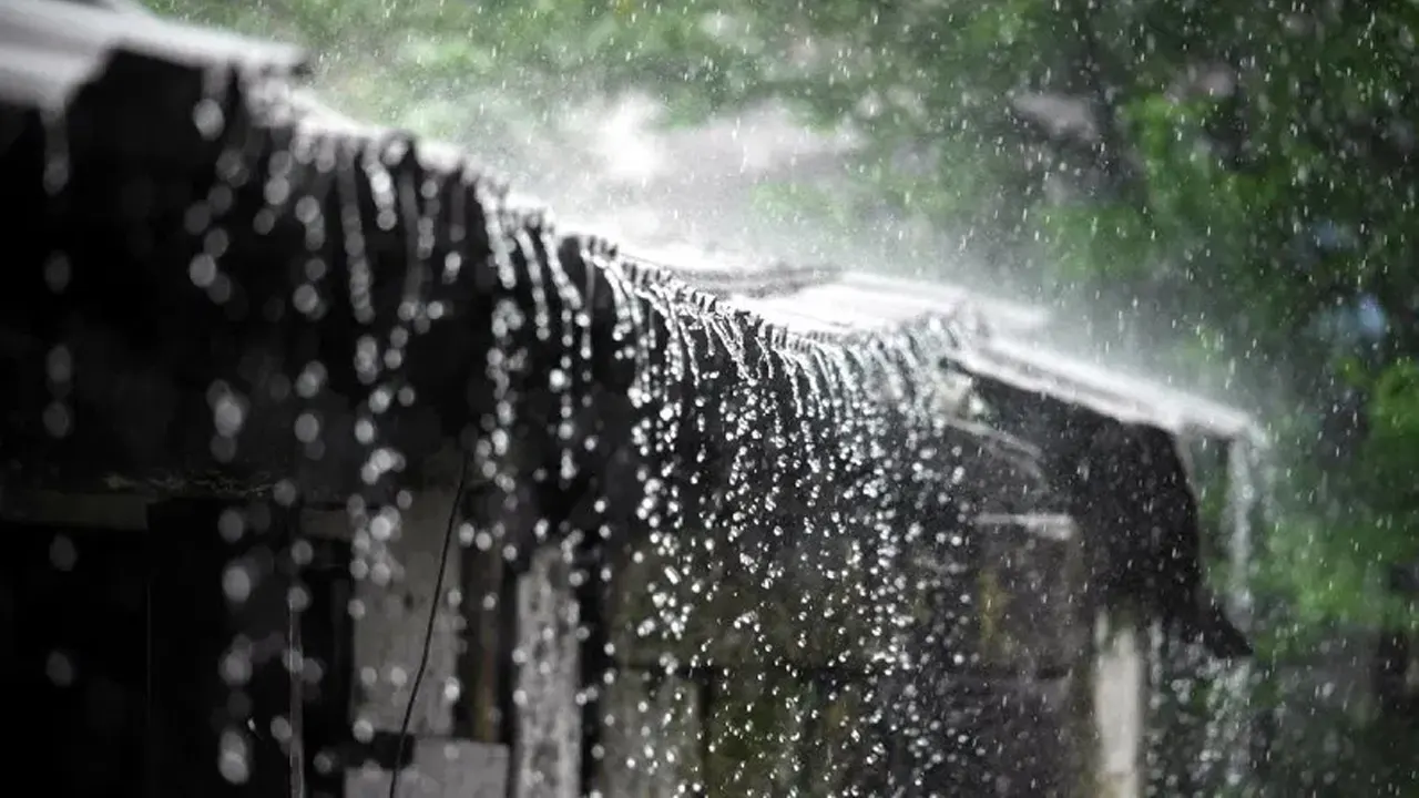 বৃষ্টি পড়ছে। ছবি : সংগৃহীত