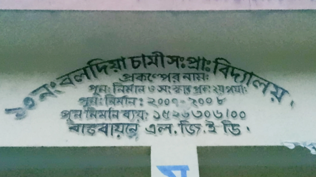 ১০ নম্বর বলদিয়া চামী সরকারি প্রাথমিক বিদ্যালয়। ছবি : কালবেলা