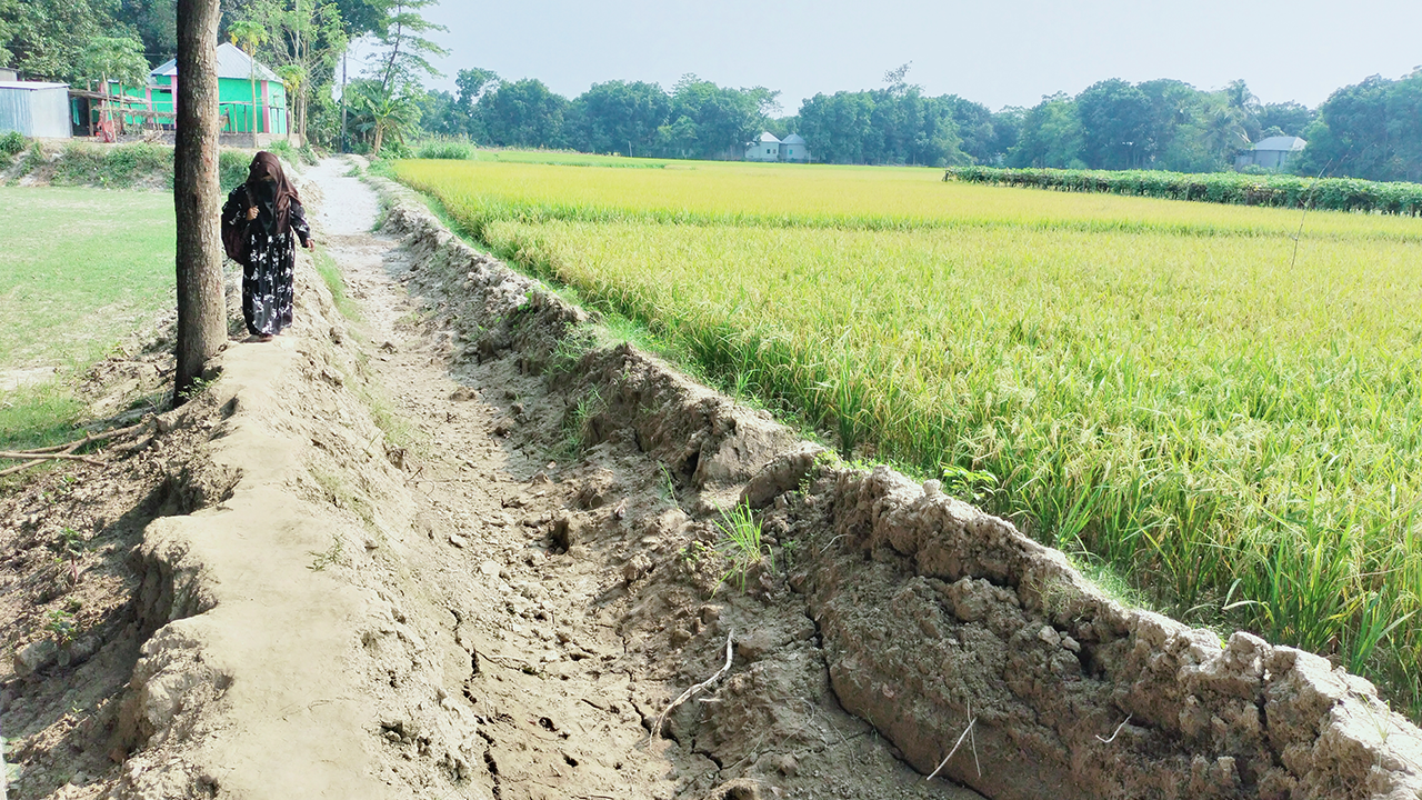 রাস্তার অভাবে ভোগান্তিতে এলাকাবাসী। ছবি : কালবেলা