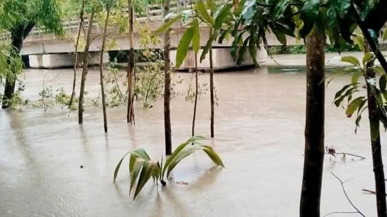বৃষ্টিতে তলিয়ে গেছে নিম্নাঞ্চল। ছবি : কালবেলা