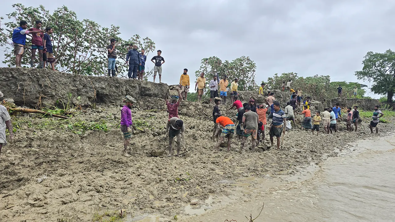 পটুয়াখালী গলাচিপায় বেড়িবাঁধ ভেঙ্গে পানি লোকালয়ে প্রবেশ করেছে। ছবি : কালবেলা