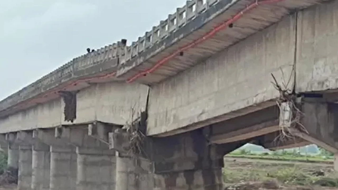 ছবি : সংগৃহীত