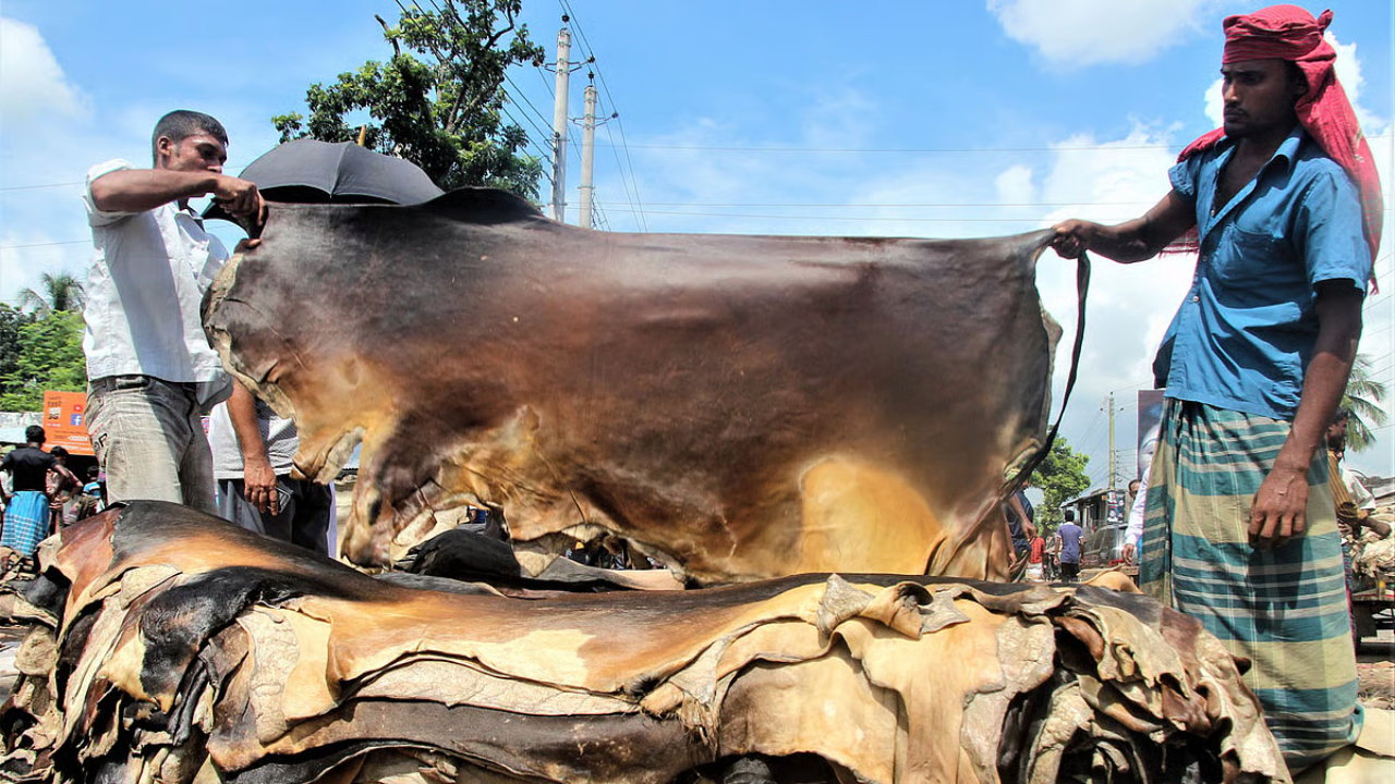 ছবি : সংগৃহীত