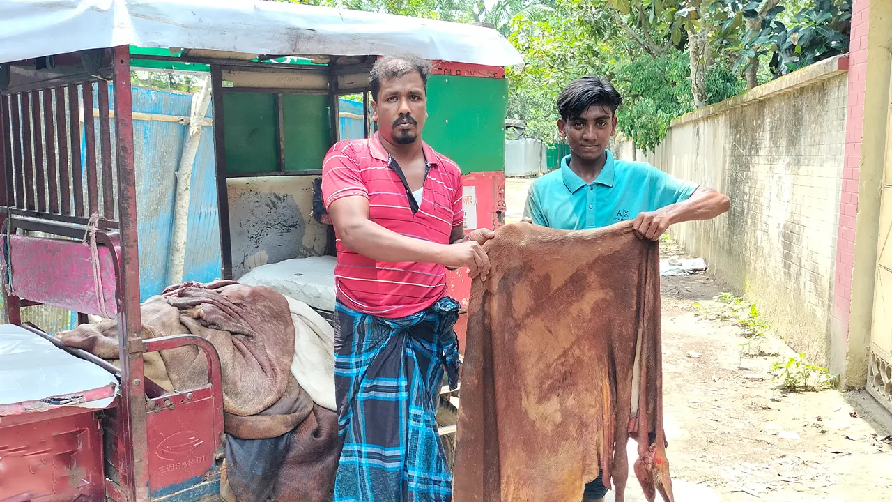 কোরবানির পশুর চামড়া হাতে ব্যবসায়ী। ছবি : কালবেলা