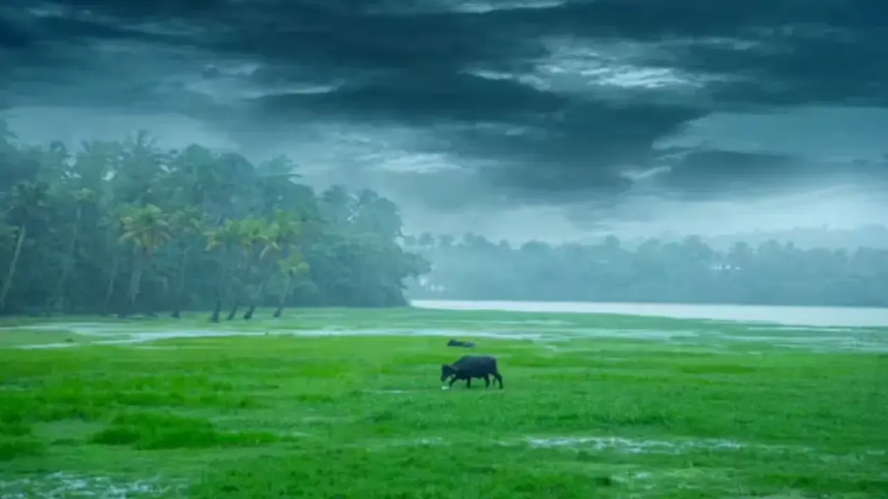 আকাশ মেঘে ঘেরা, ঝুম বৃষ্টি ঝরছে- অপরূপ প্রকৃতির এক মনোমুগ্ধকর মুহূর্ত। ছবি : সংগৃহীত