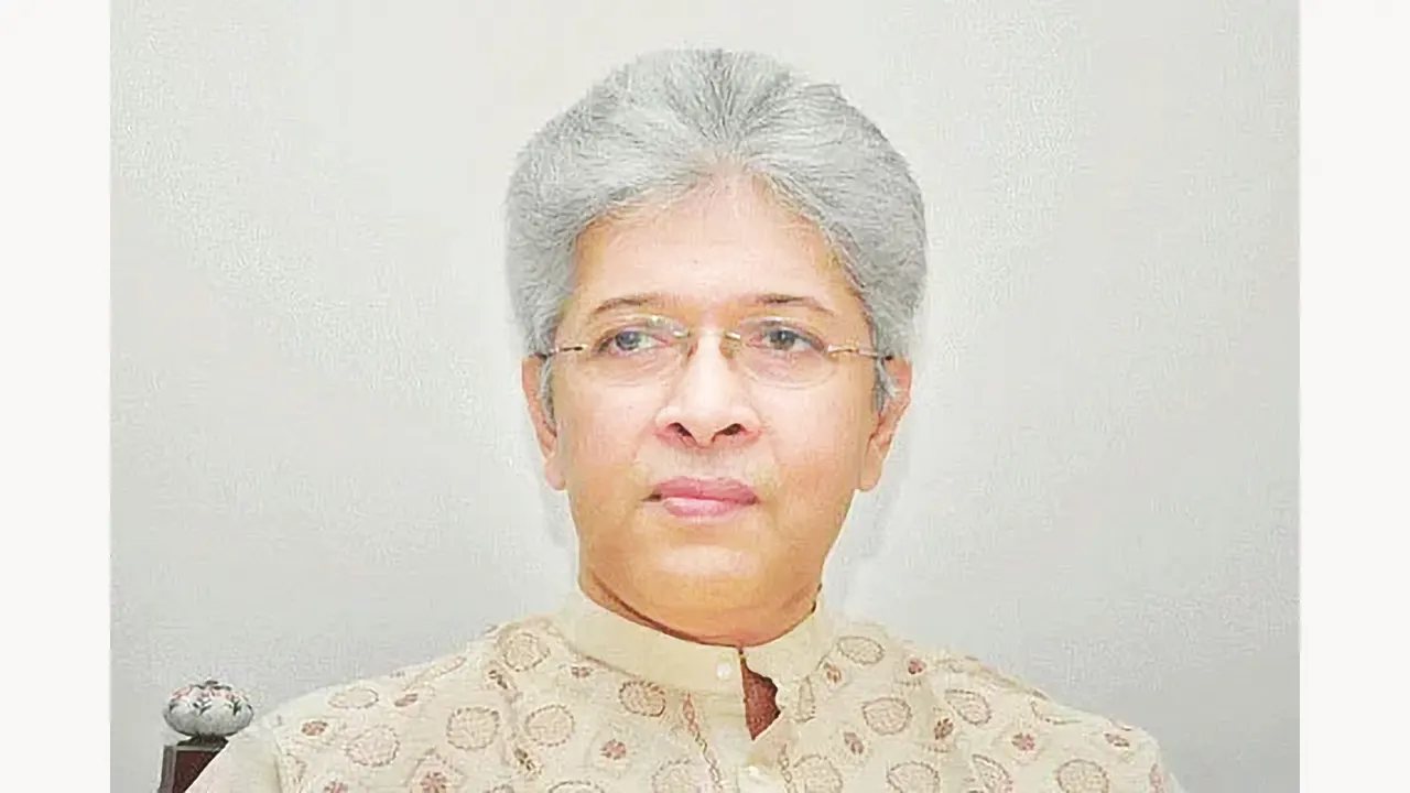 শিল্প উপদেষ্টা আদিলুর রহমান খান। ছবি : সংগৃহীত