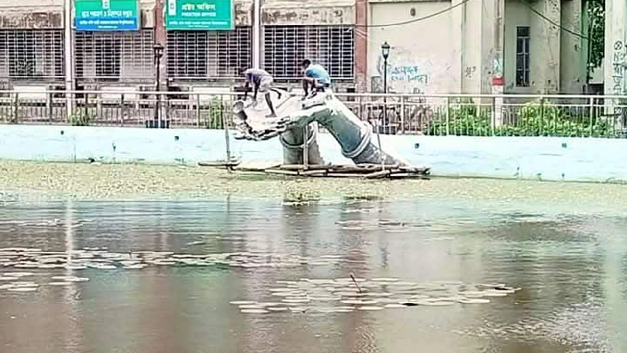 কবি নজরুল বিশ্ববিদ্যালয়ের পুকুরপাড়ে স্থাপিত ‘অঞ্জলি লহ মোর’ ভাস্কর্যটি ভেঙে ফেলা হয়েছে। ছবি : কালবেলা