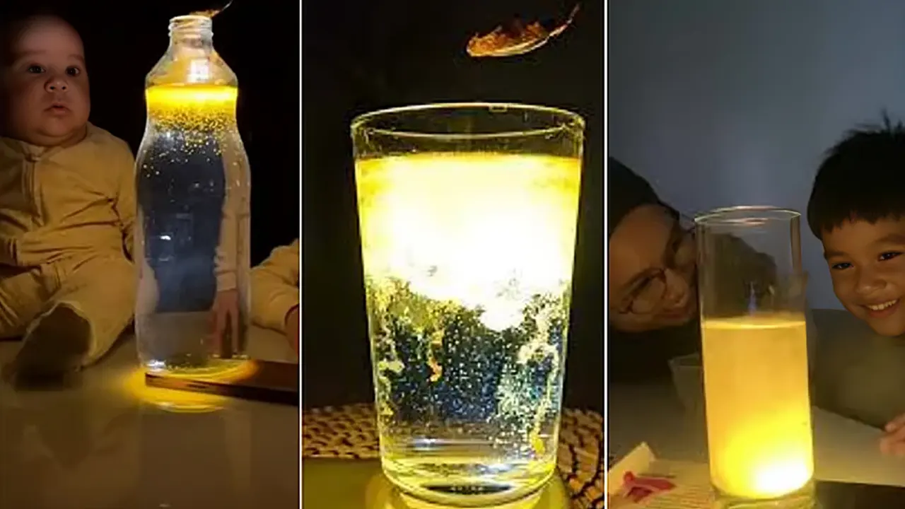 গ্লোয়িং ওয়াটার। ছবি : সংগৃহীত