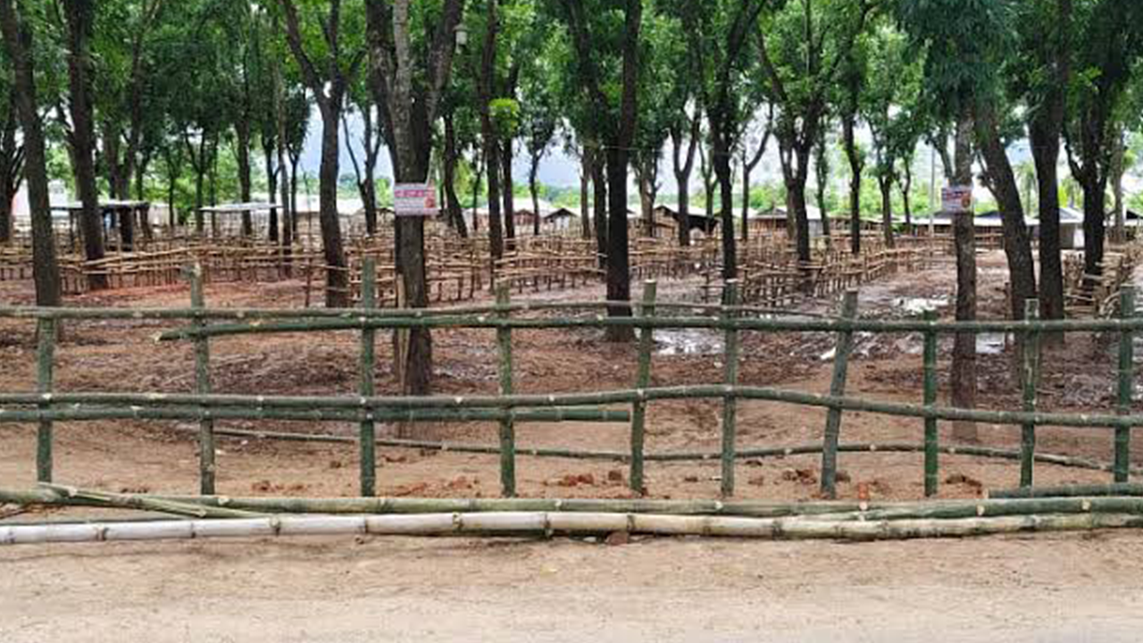 চৌগাছা পশুরহাট। ছবি : কালবেলা
