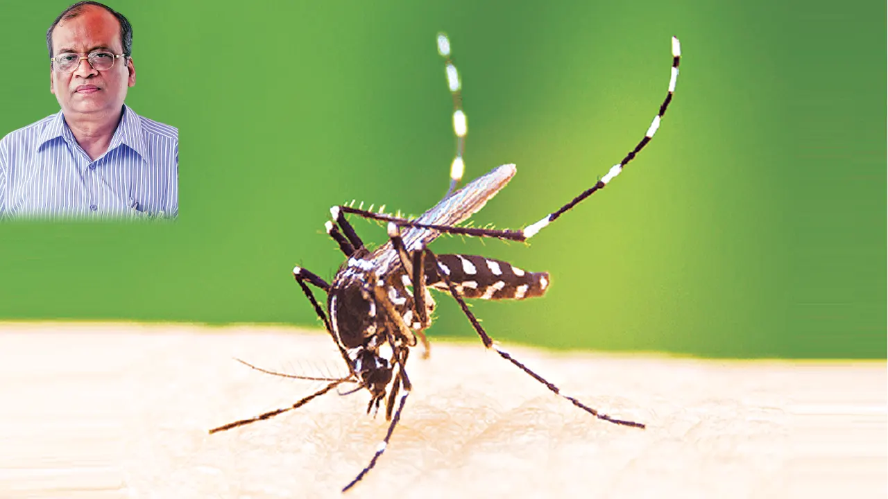 ডেঙ্গু জ্বর নিয়ে যেসব তথ্য জানা থাকা দরকার: পর্ব ২