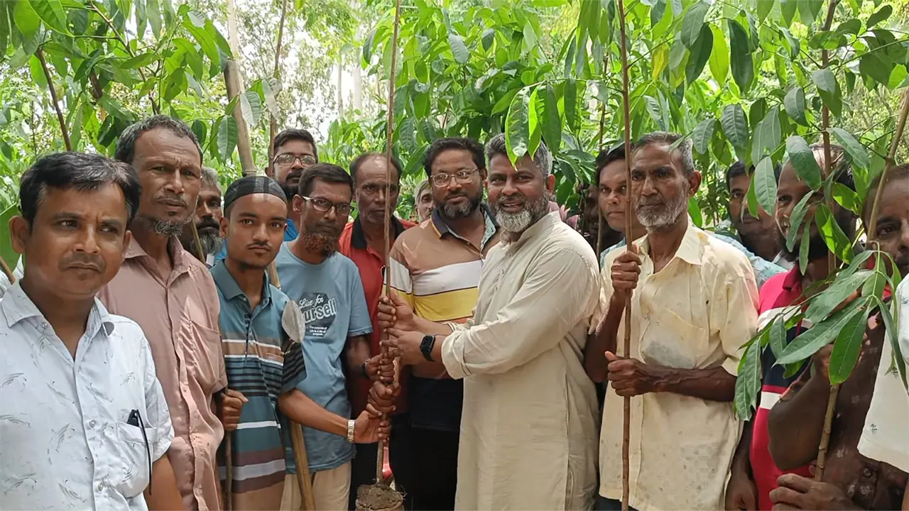 এলাকাবাসীর হাতে গাছের চারা তুলে দেন ফজলে হুদা বাবুল। ছবি : কালবেলা